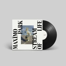 Vinyl STREAM OF LIFE