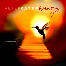 CD WINGS