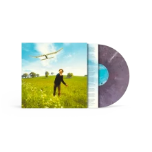 Vinyl Who We Used To Be