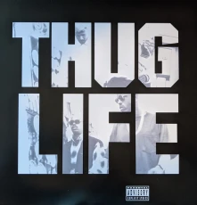 Vinyl Thug Life: Volume 1