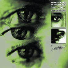 Vinyl WHAT WE SEE IN THEIR EYES