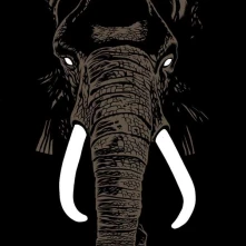 Vinyl PALM UNIT - DON'T BUY IVORY ANYMORE! - THE MUSIC OF HENRI TEXIER