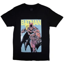 Batman - Pop Colours thumbnail