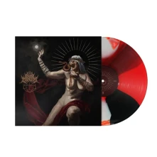Vinyl PUNISHMENT