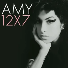 Vinyl 12x7: The Singles Collection