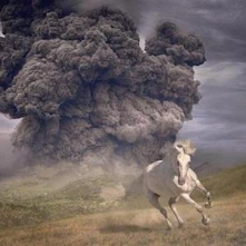 Vinyl THE WHITE BUFFALO - YEAR OF THE DARK HORSE
