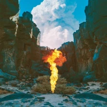 Bonobo, Vinyl MIGRATION