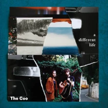 Vinyl A DIFFERENT LIFE