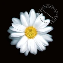 Vlasta Redl, CD Dopisy Z Květin (20th Anniversary Edition)