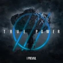 Vinyl TRUE POWER