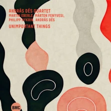 CD UNIMPORTANT THINGS