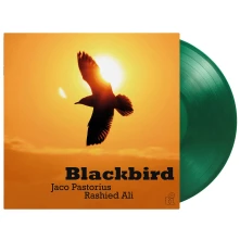 Vinyl BLACKBIRD