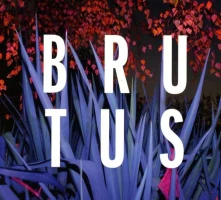 CD BURST