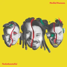 Vinyl Nedotknuteľní