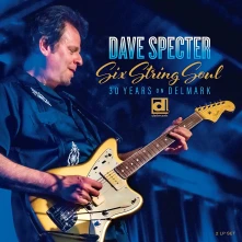 Vinyl SIX STRING SOUL. 30 YE...