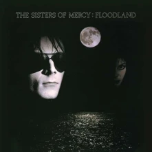 Vinyl FLOODLAND