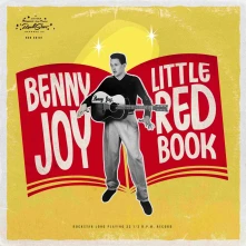 Vinyl LITTLE RED BOOK