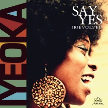 Vinyl SAY YES (R)EVOLVED