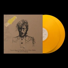 Vinyl END OF TEENAGE