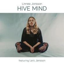 CD HIVE MIND