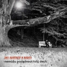 Jan Spálený & ASPM, CD Nemůžu popadnout tvůj dech