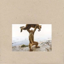 Shellac, Vinyl SHELLAC - DUDE INCREDIBLE