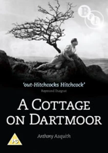 DVD COTTAGE ON DARTMOOR