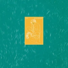 CD SKYLARKING
