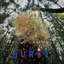 Vinyl BURST