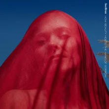 CD HOW BEAUTY HOLDS THE HAND OF SORROW