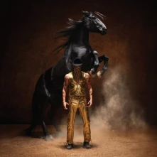 Vinyl Bronco