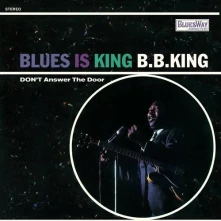 Vinyl Blues Is King (Reissue)