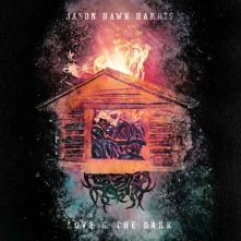 CD LOVE & THE DARK