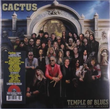 Vinyl TEMPLE OF BLUES