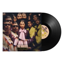 Vinyl DI HOTEL MALIBU