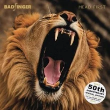 Vinyl HEAD FIRST