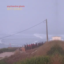 Vinyl PSYCHOACTIVE GHOSTS