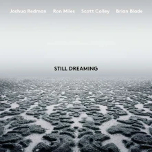 CD STILL DREAMING (FEAT. RON MILES, SCOTT COLLEY & BRIAN BLADE)