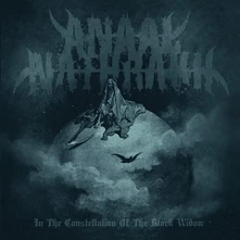 Vinyl ANAAL NATHRAKH - IN THE CONSTELLATION OF THE BLACK WIDOW