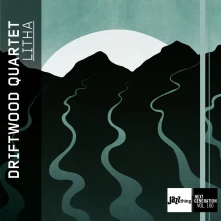 Driftwood Quartet, CD LITHA - JAZZ THING NEXT GENERATION VOL. 100