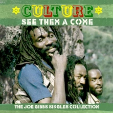 CD SEE THEM A COME - THE JOE GIBBS SINGLES COLLECTION