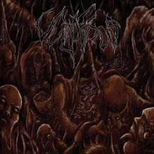Vulnificus, CD INCLINATION