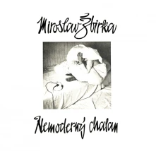 Miro Žbirka, Vinyl Nemoderný chalan