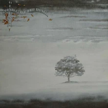Genesis, Vinyl WIND & WUTHERING