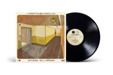 Vinyl ACCESS ALL AREAS