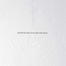 Vinyl AND THE BIRD SAID: CUT ME OPEN AND SING ME