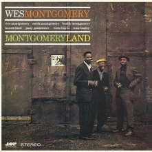 Vinyl Montgomeryland (Jazz Wax)