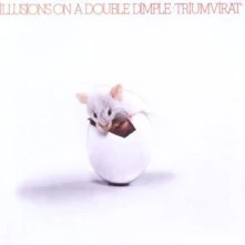 CD ILLUSIONS ON A DOUBLE/REM.