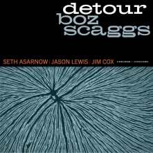 Vinyl DETOUR