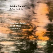 Avishai Cohen, CD ASHES TO GOLD